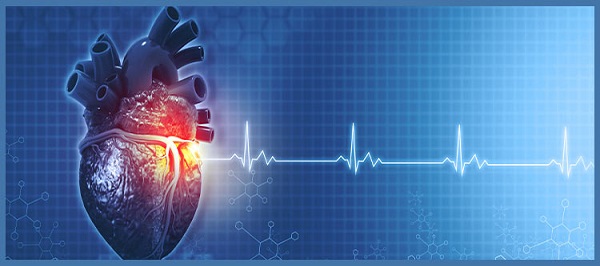 Non-Invasive Cardiology | Dr Sizwe Derrick Mthiyane